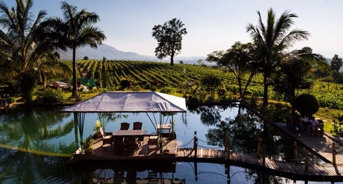 Aythaya Winery