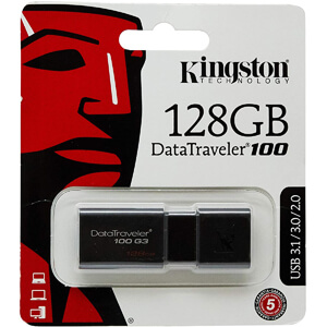 Kingston Data Traveler