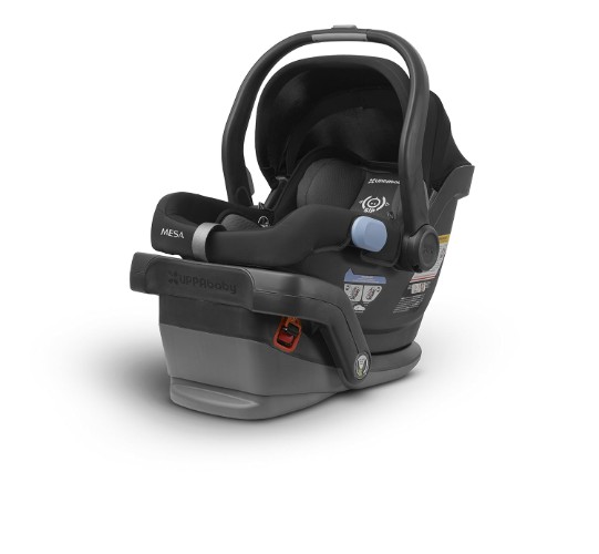 UPPAbaby Infant Car Seat - Best Car Seats