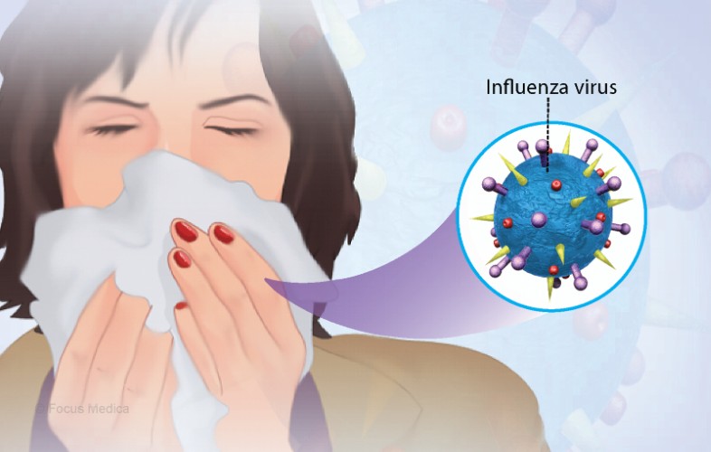 Influenza (Spanish Flu – H1N1, Bird Flu – H5N1, etc.) - Most Dangerous Viruses in Human History