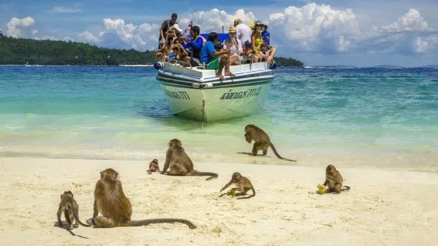 Visit Monkey Island